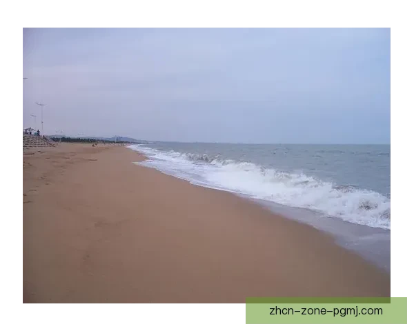 冲浪比分一览：潮起潮落，风浪相伴