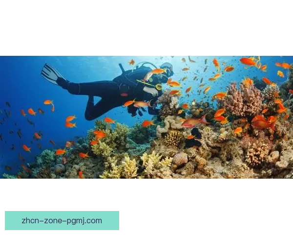 畅游潜水世界，探寻海底奇迹