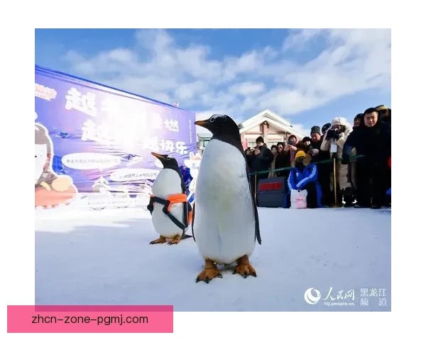 精彩绽放！跨界联动滑雪冠军争霸盛典