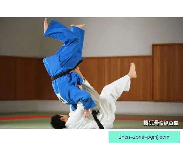 解析柔道规则:巧妙应用技巧,体现精神实力 解析柔道规则:巧妙应用技巧,体现精神实力