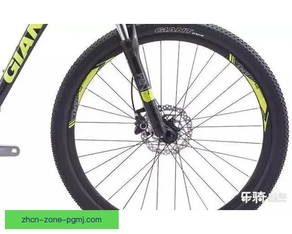 骑行无极限：山地车规则全面解读